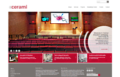 Cerami Associates Website, Tronvig Group