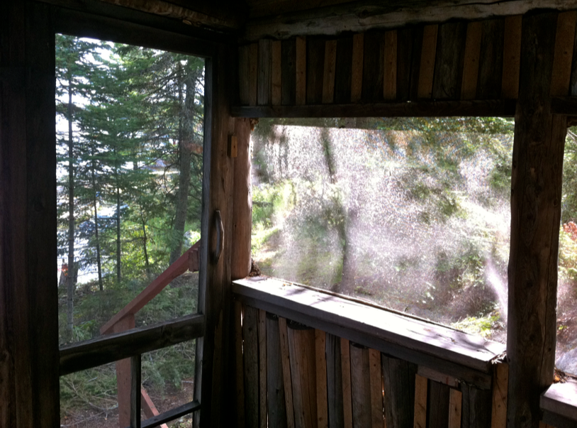 Electronics Cold Turkey, Cabin 1 porch