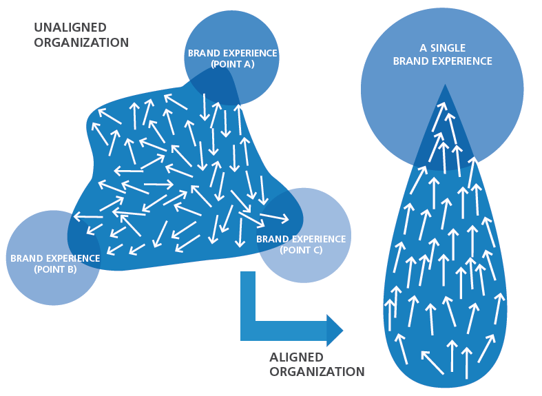 Organizational Alignment