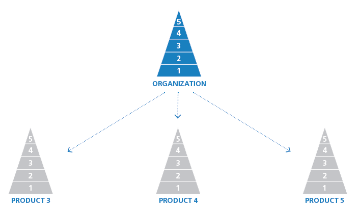 Product-level Brand Strategy