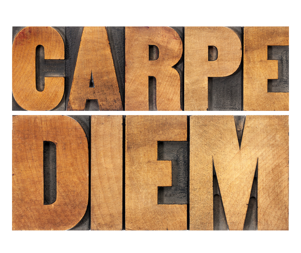 Strategic Plan (Carpe Diem) Tronvig
