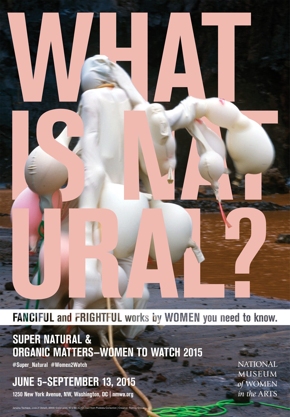 Museum Exhibition Advertising Design, Tronvig