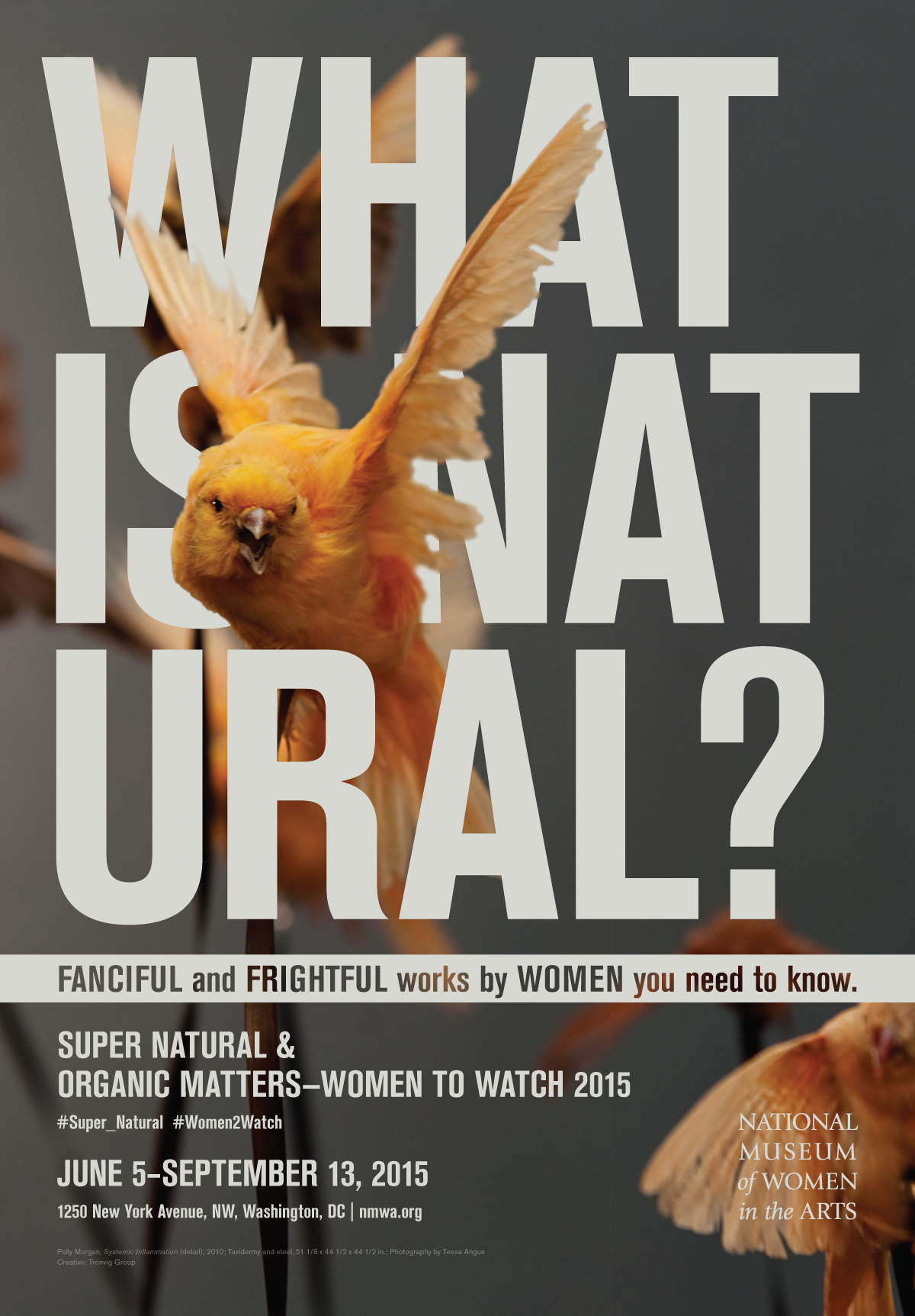 Award for Museum Exhibition Advertising Campaign