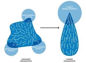 Organizational Alignment strategy featured image